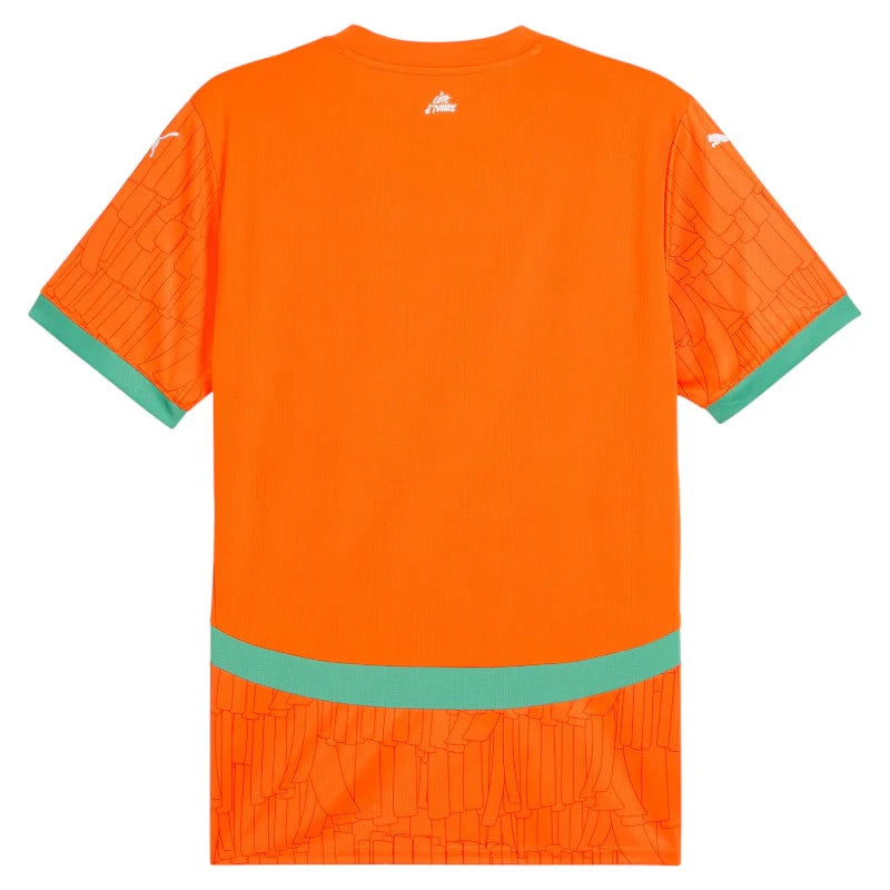 MAILLOT DOMICILE DE COTE D’IVOIRE 2025 ( version pro)