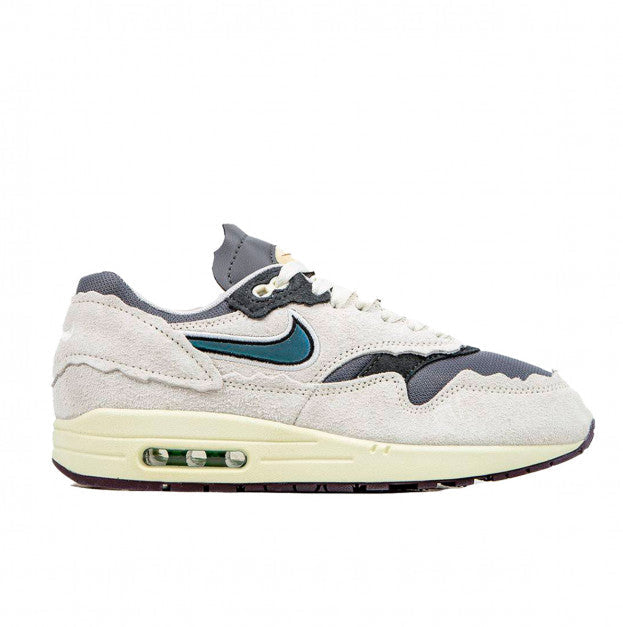 Nike Air Max 1 Protection Pack