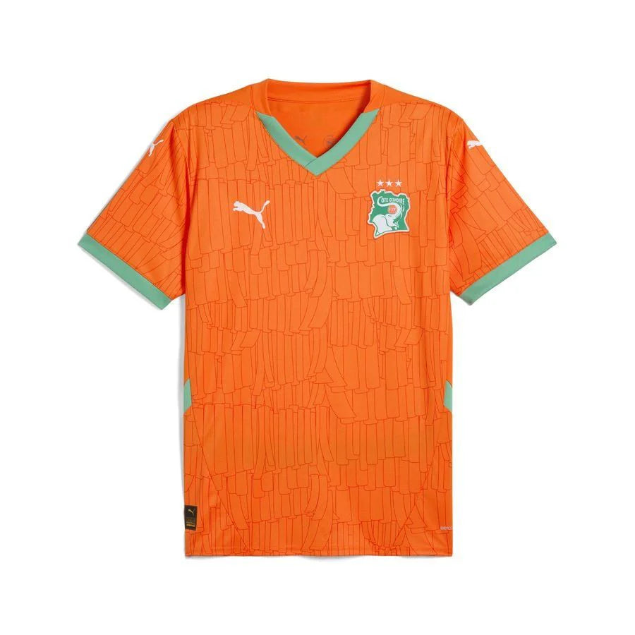 MAILLOT DOMICILE DE COTE D’IVOIRE 2025 ( version pro)